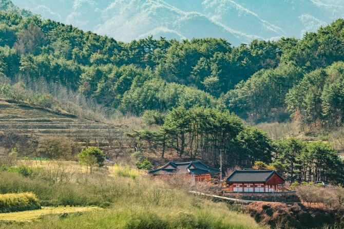 대한민국
