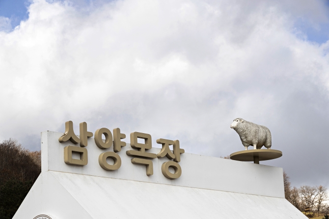  의  기사 이미지